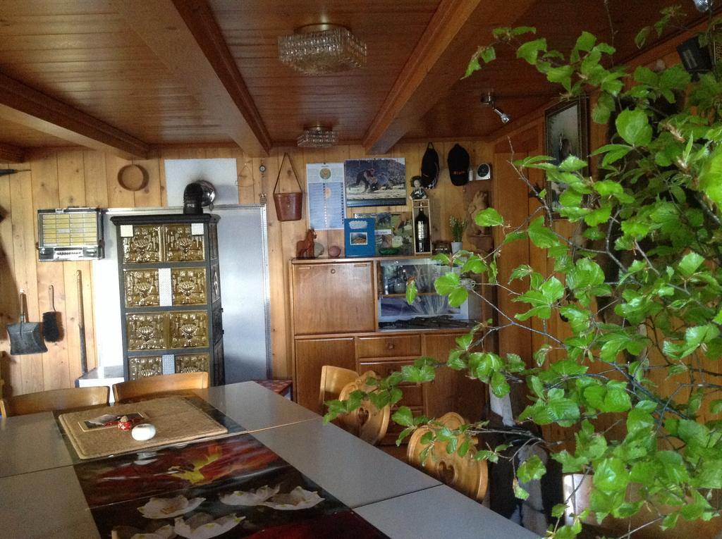 Panorama Hotel Wagenkehr Innertkirchen Eksteriør bilde